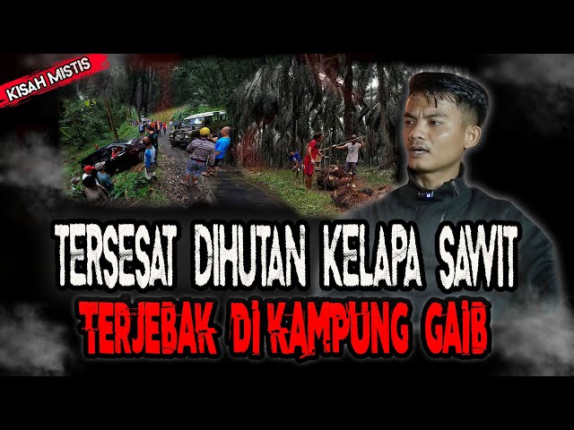 BAHAYA! TERSESAT TIGA HARI DIHUTAN LINTAS SUMATERA,RESIKO TINGGAL DILERENG HUTAN ANGKER! class=