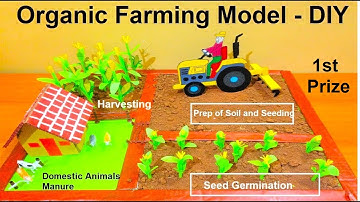 organic farming model making | science project | DIY | Agriculture model | howtofunda