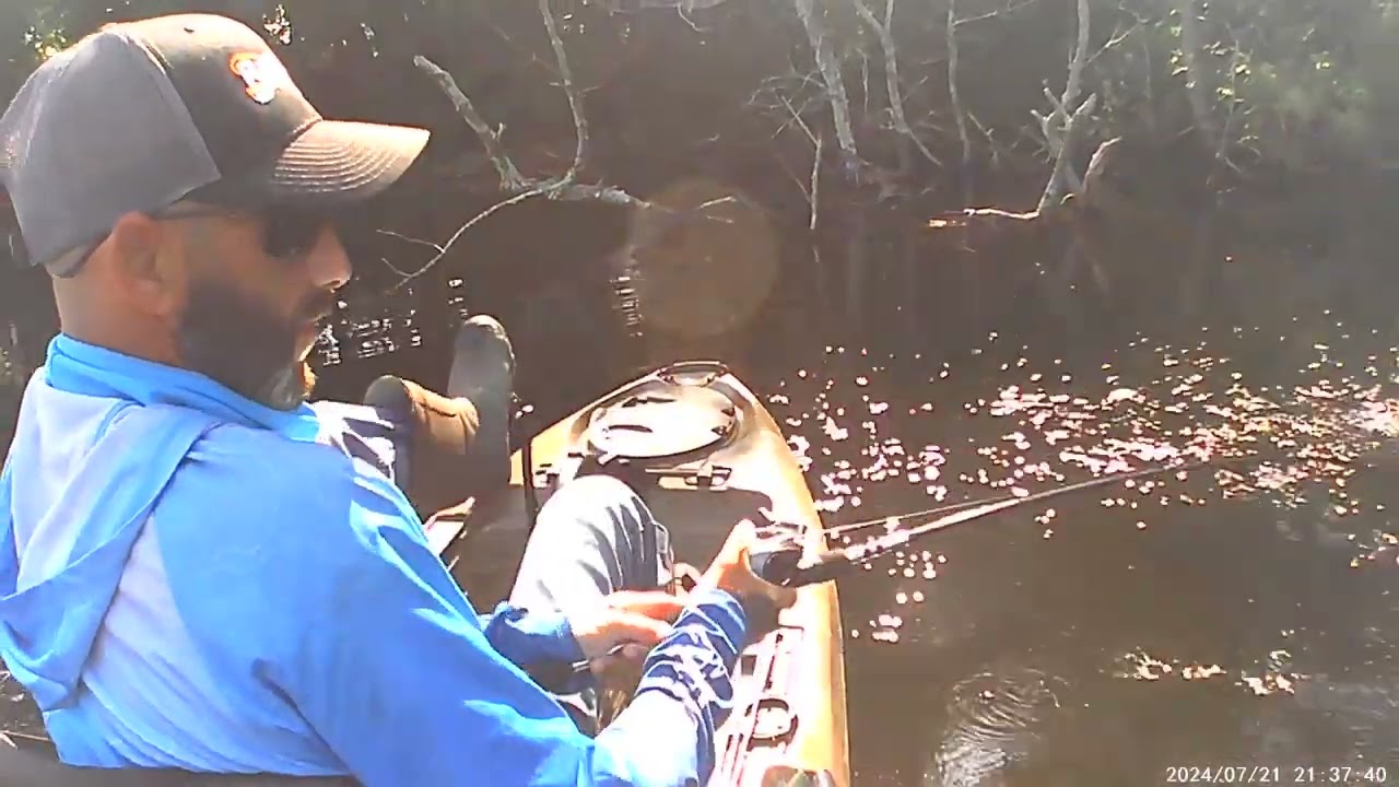 Found him in the tree!! Kayak fishing