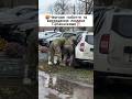 Яким законом це передбачено⁉️🤬Підпишись🔥щоб бути в курсі подій