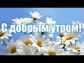 ☕🌼🌞Здравствуй, новый день! С добрым летним утром! Пожелания друзьям, музыкальная видео открытка🌞