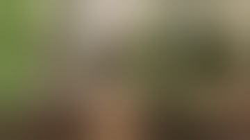 Pest Control with Air Rifles - Squirrel Shooting - Family Record (part 2)