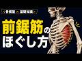 前鋸筋のほぐし方