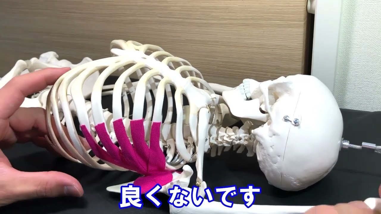 前鋸筋のほぐし方