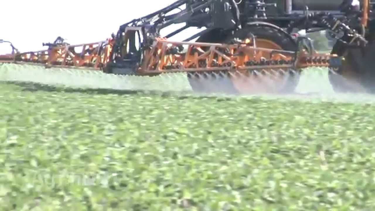 Liberty Link Soybeans 920 (Air Date 11/22/15) YouTube