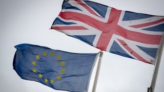 What happens if the UK Brexits