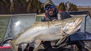 Gigantic Brown Trout - In-Depth Outdoors TV Season 12 Episode 19