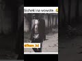 Sicheki Na Wowote 
