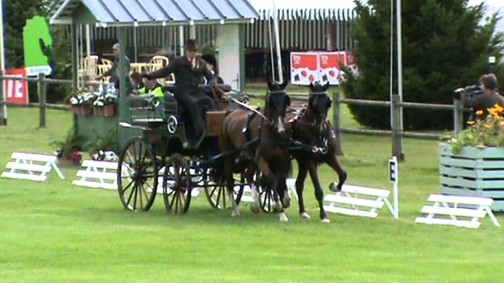 Conty 2011 Sebastian Bogacz Dressage