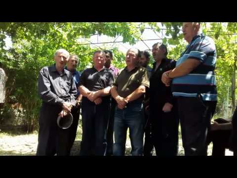 უშგულური ზარი