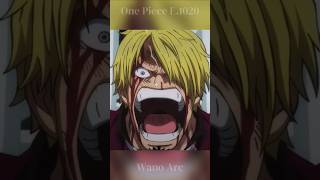 Sanji Asks Robin To Save Him