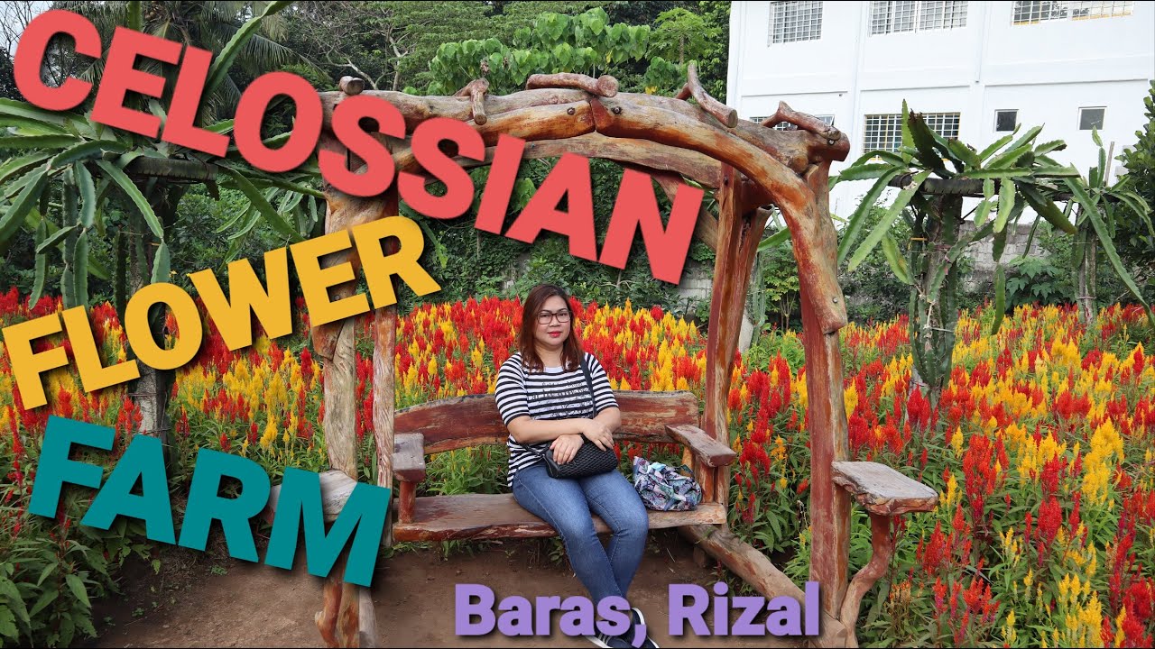 Flower Farm In Tanay Rizal Home Alqu