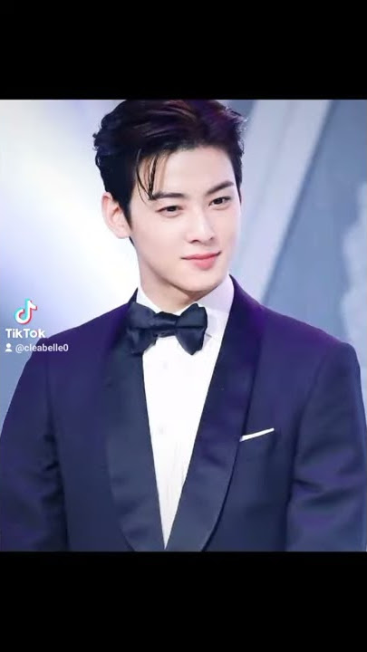 Cha Eun Woo TikTok Playdate To You