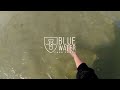 Blue Water Task Force: Testing the Water, Protecting Our Beaches