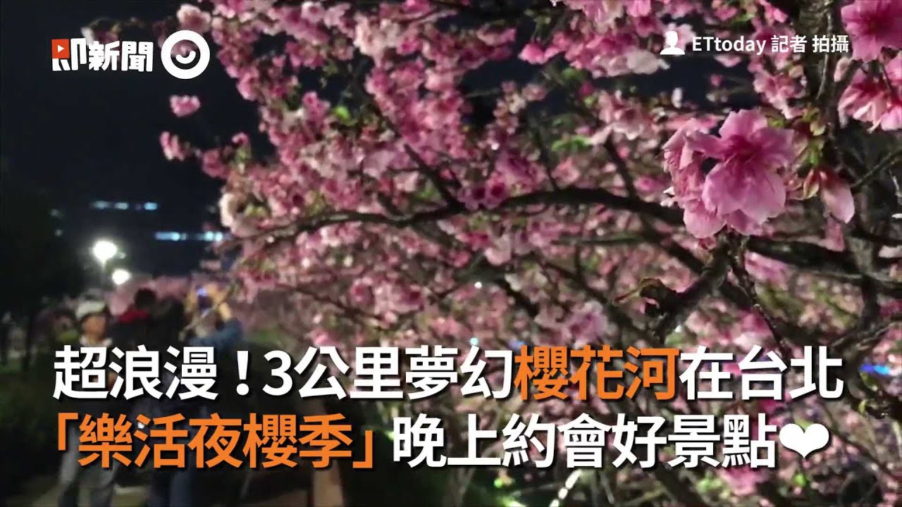 超浪漫！3公里夢幻櫻花河在台北 「樂活夜櫻季」晚上約會好景點❤
