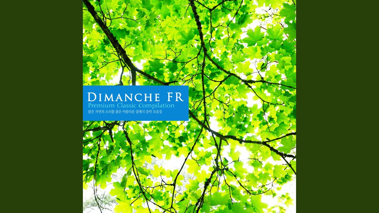 Debussy La Plus Que Lente Book