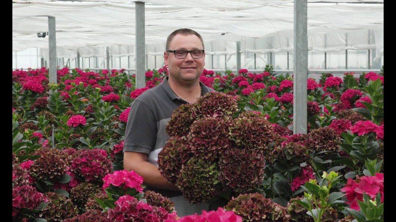 Verbeek Gartenbau im Rampenlicht