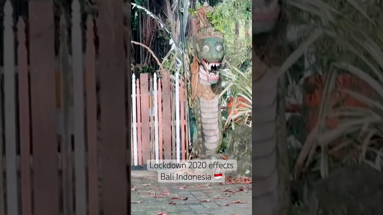 Lockdown 2020 effect Bali Indonesia