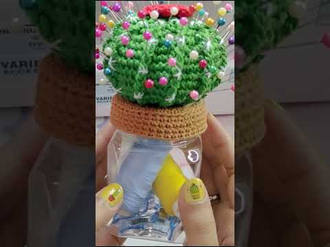 Video: Pincushion кактусуна кам көрүү жөнүндө маалымат