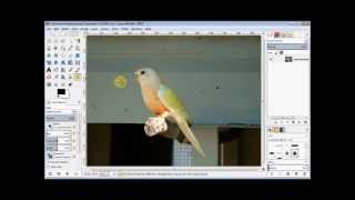 Gimp Beginners Guide 7- The Clone And Healing Tools