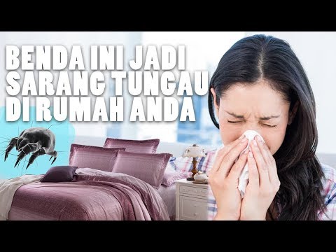 Video: Alergi Terhadap Tungau Debu: Faktor Risiko Dan Gejala Apa?