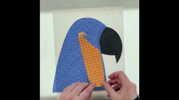 Blue Gold Macaw Applique Quilt Pattern time lapse #appliquepatterns #sewingpatterns #macaw