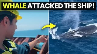 A GIANT Whale attacked our Ship!!!