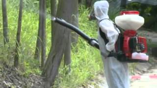 Anti-mosquito measures enhanced (12.8.2014)