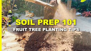 How to Prepare Soil before Planting a FRUIT TREE (step-by-step instructions)