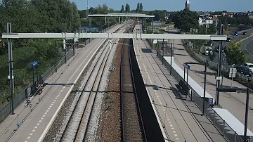 Walking from Halfweg to Santpoort by way of Spaarnwoude and Spaarndam (NL), 18 August 2025