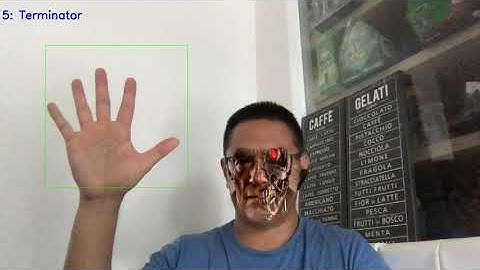 Implementing face swap using hand gestures (silent)