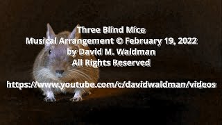 Three Blind Mice, Musical Arrangement and Video © February 19, 2022 by David M  Waldman, All Rights