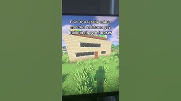 POV: you let the miner and the redstone guy build their own house