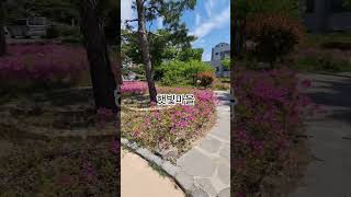 정원 in 햇빛마을
