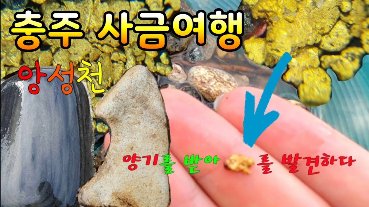 충주 제일핫한 사금지 결과물도 핫한 앙성천 사금여행 사금채취/수석/남근석/너겟/여행