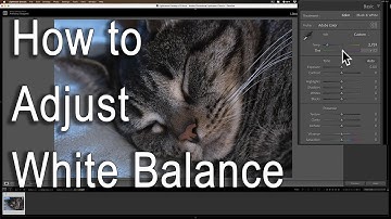 How To Adjust WHITE BALANCE in Lightroom