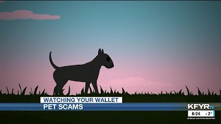 Watching Your Wallet: Pet scams