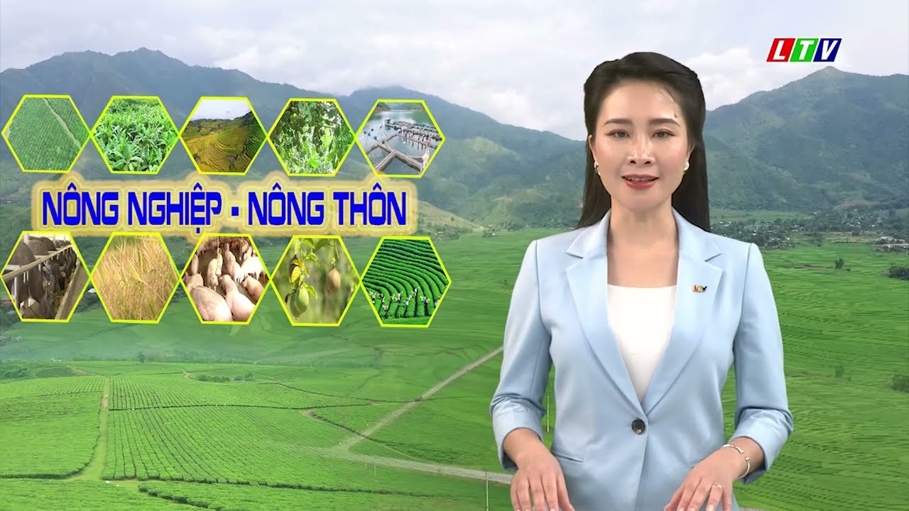 TẬP TRUNG PHÁT TRIỂN KINH TẾ NÔNG NGHIỆP NÂNG CAO ĐỜI SỐNG CHO NGƯỜI DÂN