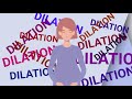 Your Amazing Uterus - How Pushing Happens
