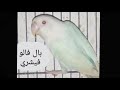 جميع أنواع طفرات الفيشر وأسمائها