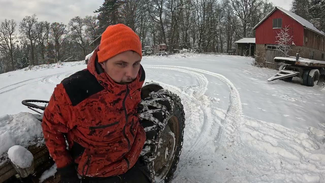 Naturen startar krig! Min Ferguson grålle får rycka in för tjänstgöring!