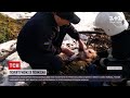 Новини України: у Хмельницькій області реанімували 76-річного чоловіка після пожежі