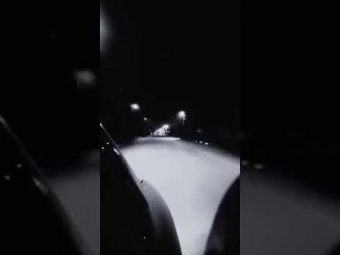 لو نهدى حبه وائل جسار
