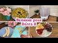 Сушилка Великие реки / Волга 8 / Сушу овощи и фрукты!