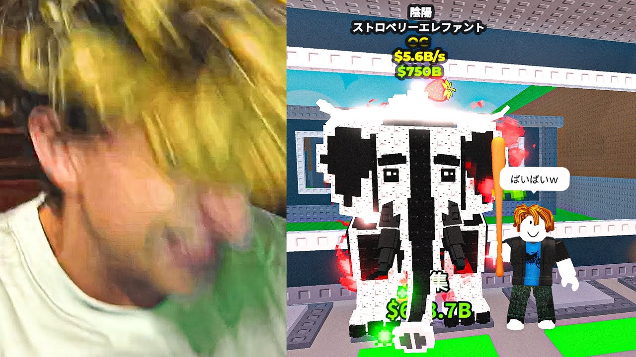 もう何回目だよマジで。