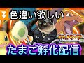 【ポケモン】Pokemonヒトカゲ色違いたまご孵化厳選ゲーム実況【初見さん歓迎】