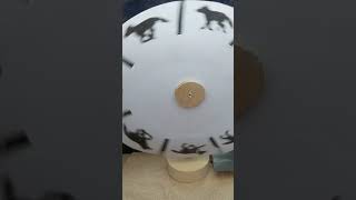 Phenakistoscope -