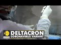 Deltacron: New Covid variant, contamination, or 'scariant'?