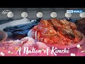 A Nations of Kimchi [KBS WORLD SELECTION : EP.01-1]  | KBS WORLD TV 240507