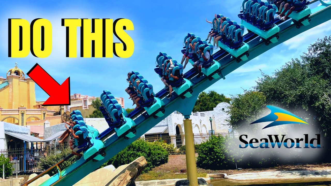 BEST Time to Go to SeaWorld in 2023 REVEALED 😲 - YouTube